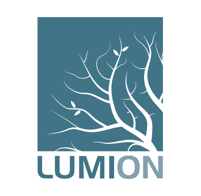 Lumion
